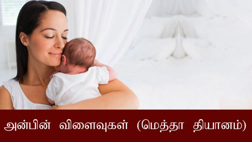 அன்பின் விளைவுகள்